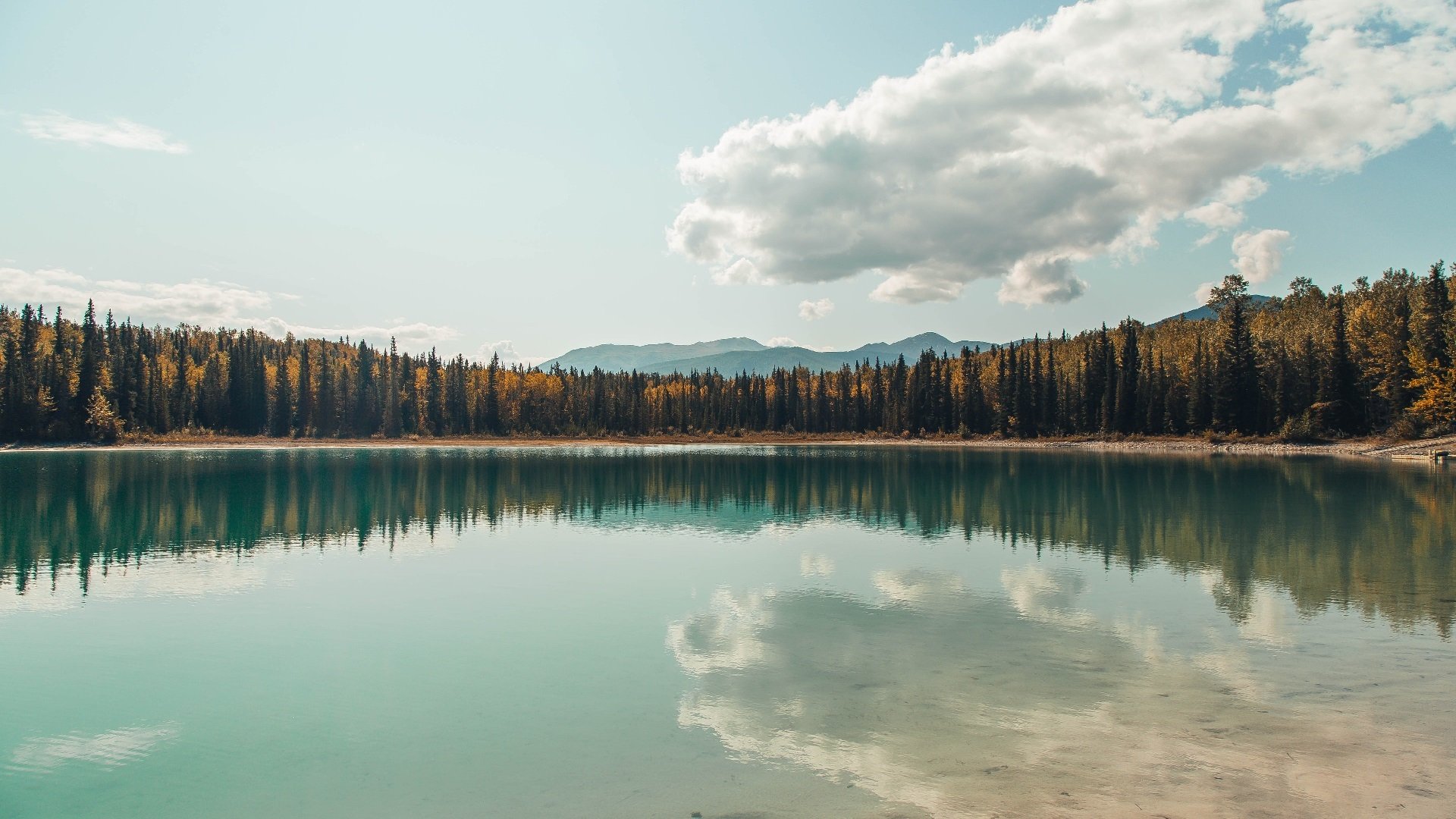 爱游戏正版-比利时女篮在铜牌争夺战中败给澳大利亚队，比利时女篮对阵澳大利亚女篮