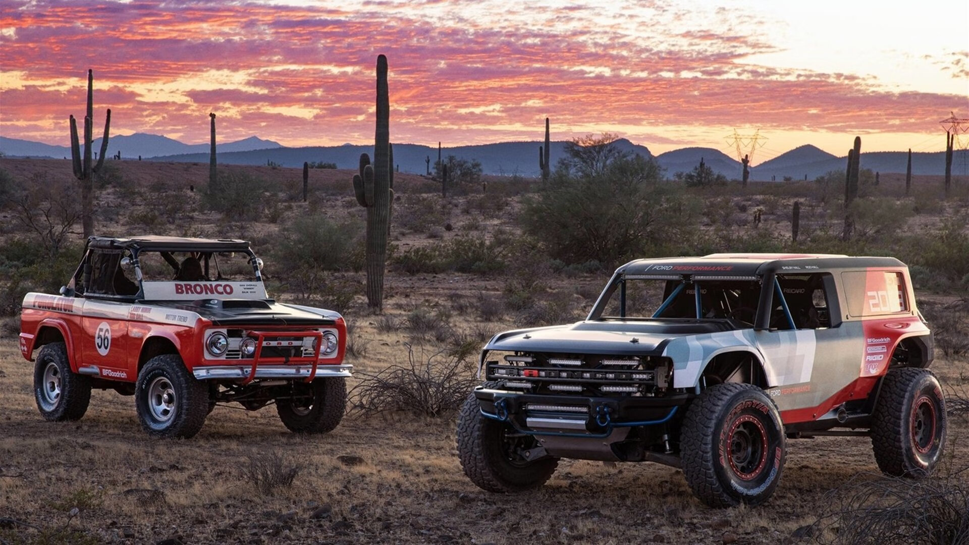 球迷创新应援，营造热烈比赛氛围，球队应援