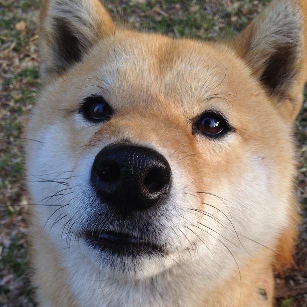 詹姆斯多场“双十”爆发，季后赛状态火热！，詹姆斯多少次双一阵