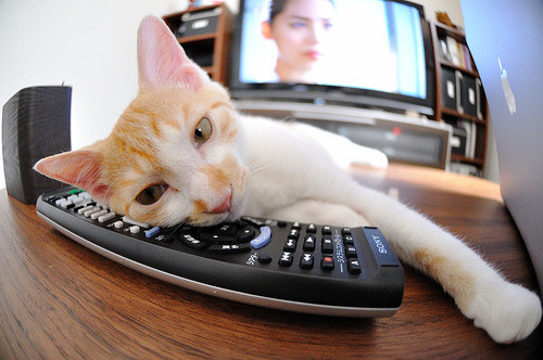 高原雪域骑行，极限速度穿越冰雪天地，骑行318高原反应