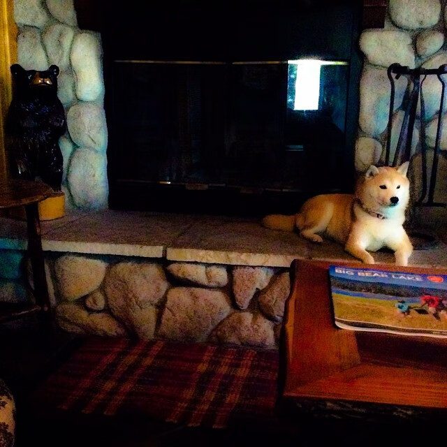 爱游戏官方-中国女足力克澳大利亚，王霜破门助队晋级四强，中国女足绝杀澳大利亚