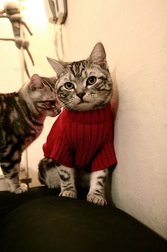 爱游戏平台-全北现代与蔚山现代再上演“现代德比”