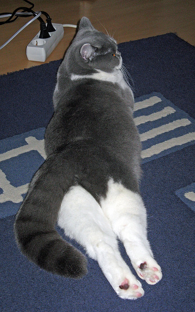 全北现代与蔚山现代再上演“现代德比”