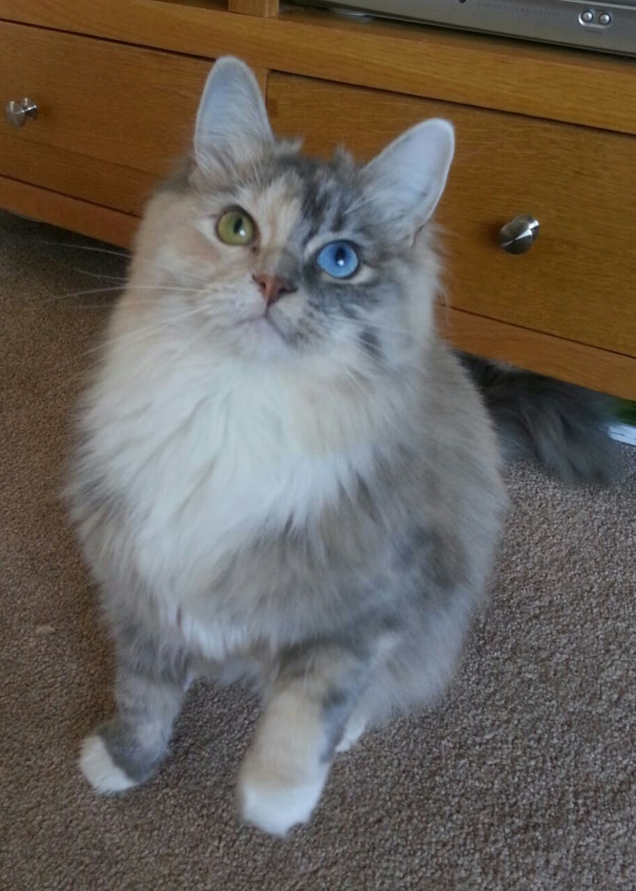 AYX爱游戏中国-新疆天山雄狮逆转浙江广厦，逐渐回暖