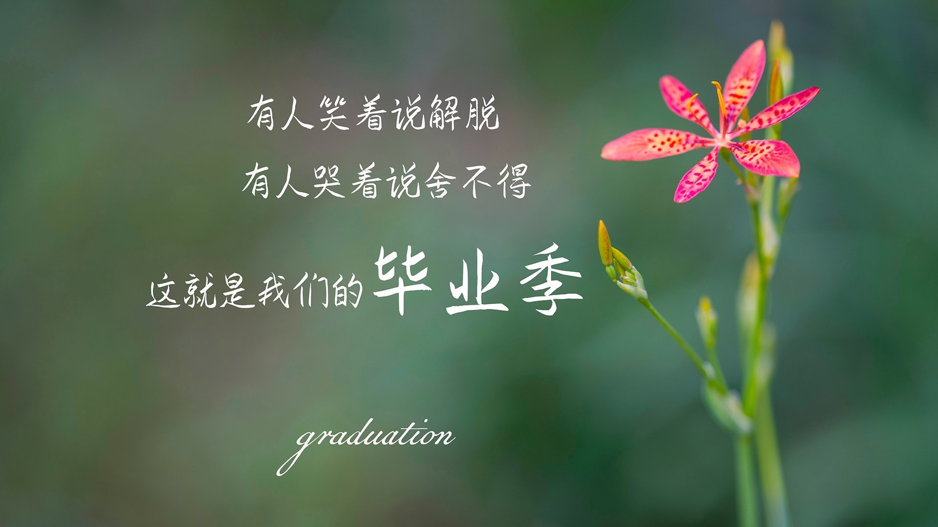 中超各队关键球员缺阵影响评估，中超 队伍