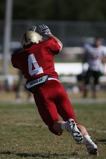 爱游戏游戏平台-中超球队年度替补球员战术执行效率统计，中超替补年薪