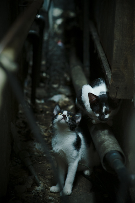 “短柄墙球:高新区全民健身馆赛场,赛出速度与智慧的新高度!”