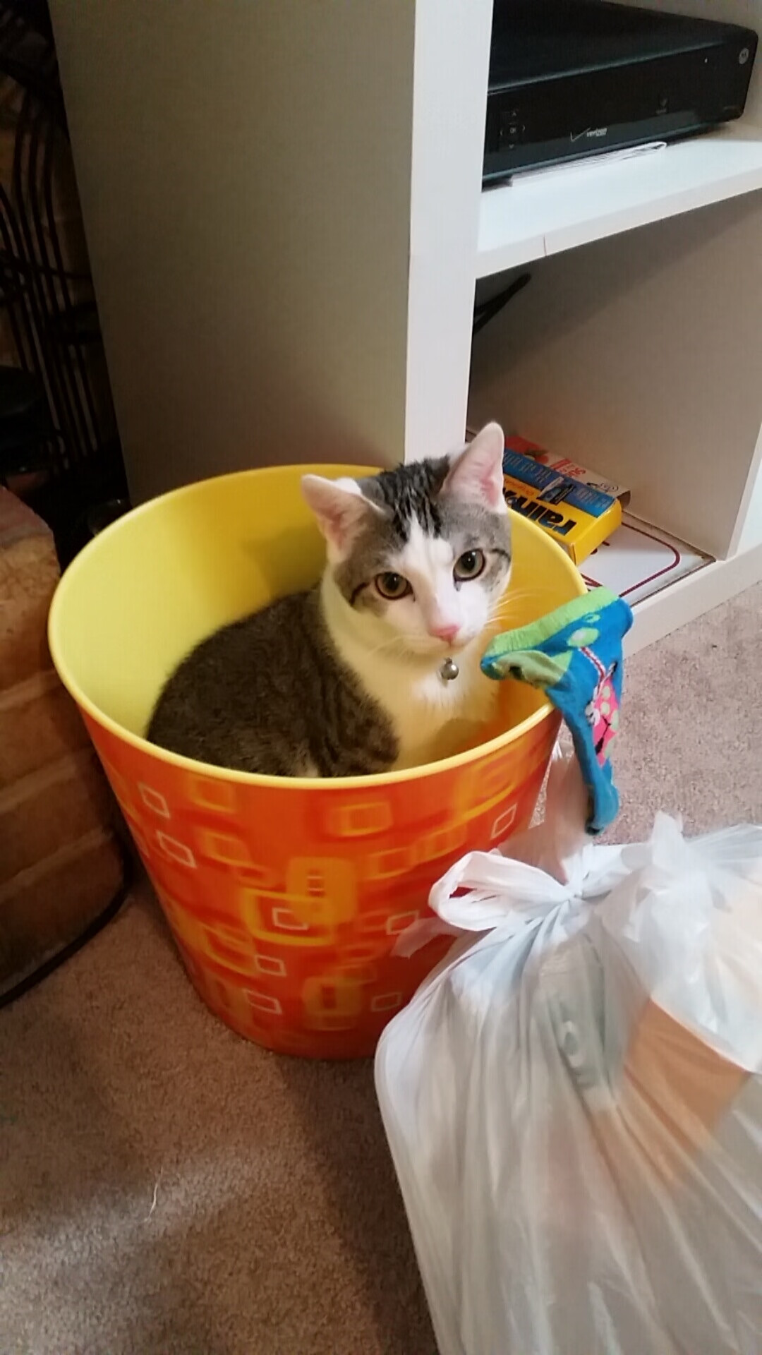 全国青少年武术段位考评全面铺开,2021全国青少年武术锦标赛