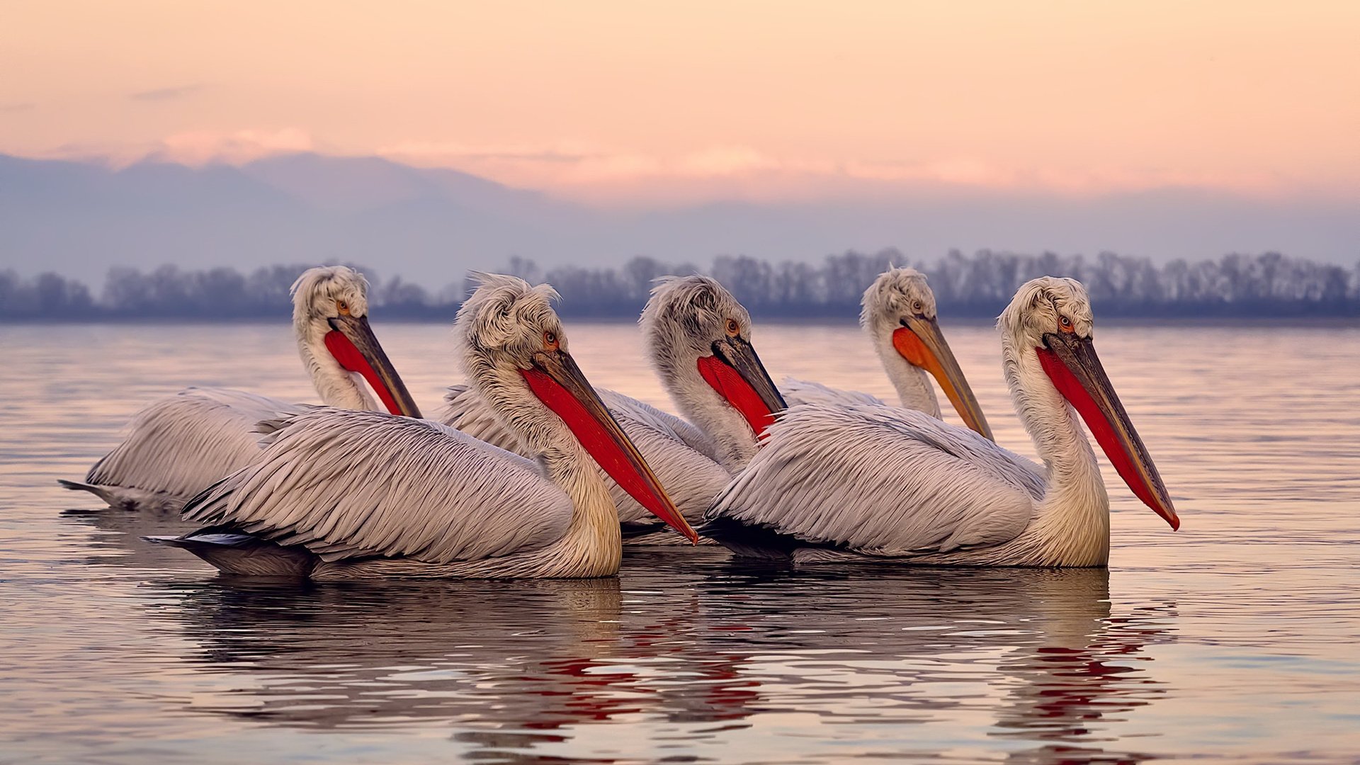 国家队比赛风格缺乏鲜明特色，国家队表现